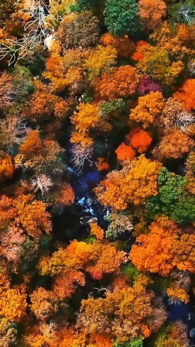 #3連休診療してます

11/22（土）　11/23（日）　11/24（月・祝）

10:00〜17:00  診療してます！

急なケガや痛みで、お困りの方はご連絡下さい。

【受付時間】月・火・木・金　13:00〜21:00
　　　　　土・日・祝　　　10:00〜17:00
【休診日】　水曜日

🏥尼崎市南武庫之荘2丁目7-10
☎️06-6415-6477

#ケガ
#痛み
#違和感
#尼崎
南武庫之荘
塚口
ケガを早く治す
ケガの治療
骨折
骨折治療器
捻挫
肉離れ
超音波骨折治療器
超音波画像観察装置
テーピング
競技復帰
競技復帰までトータルサポート
競技復帰までのトレーニング
リアラインスペシャリスト
土日祝日診療してます