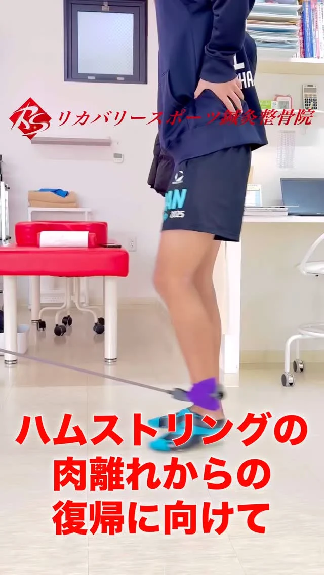 #ハムストリング肉離れリハ

肉離れの発生率が最も高い「ハムストリング」
痛みがなくなったから、筋線維が再生したから復帰していいと言うわけではありません。

筋力はもちろん、周囲筋や拮抗筋などとの協調性の高い、多関節の運動連鎖を獲得しておかなければなりません。

段階的に、ハムストリング、大殿筋、求心性収縮から遠心性収縮、それらを複合した、よりランニング動作に近づけて、さらにスピードを上げて、協調性を高めるトレーニングを実施していきます！

【受付時間】月・火・木・金　13:00〜21:00
　　　　　　土・日・祝　　　10:00〜17:00
【休診日】　水曜日

🏥尼崎市南武庫之荘2丁目7-10
☎️06-6415-6477

#ハムストリング肉離れ
#肉離れからの復帰
#肉離れトレーニング
#肉離れ再発防止